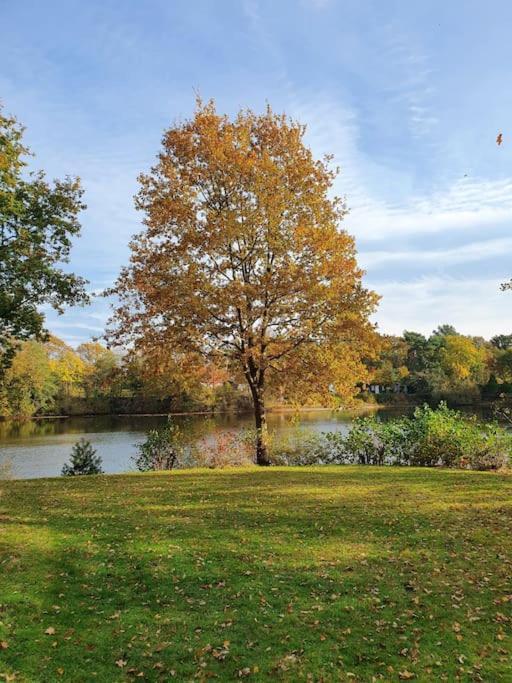 Ferienhaus Blauer See Mit Optionalem Hot-Tub Bockhorn  Esterno foto