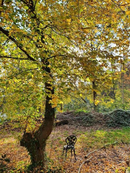 Ferienhaus Blauer See Mit Optionalem Hot-Tub Bockhorn  Esterno foto