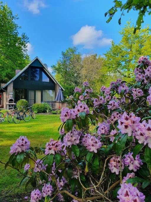 Ferienhaus Blauer See Mit Optionalem Hot-Tub Bockhorn  Esterno foto